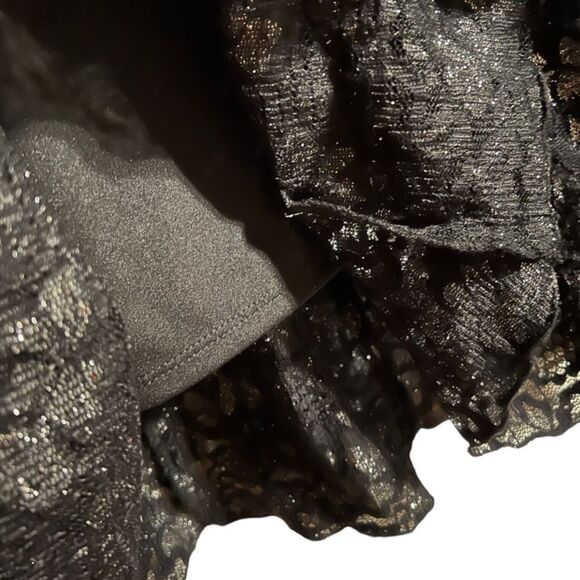 Black Lace Dress Size 4, Black & Silver VNeck half-sleeve NWT - Picture 11 of 14